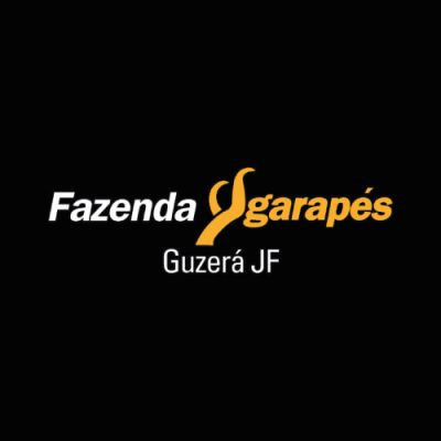 Fazenda Ygarapés | G..